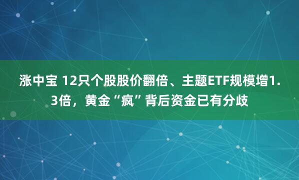 涨中宝 12只个股股价翻倍、主题ETF规模增1.3倍，黄金“疯”背后资金已有分歧