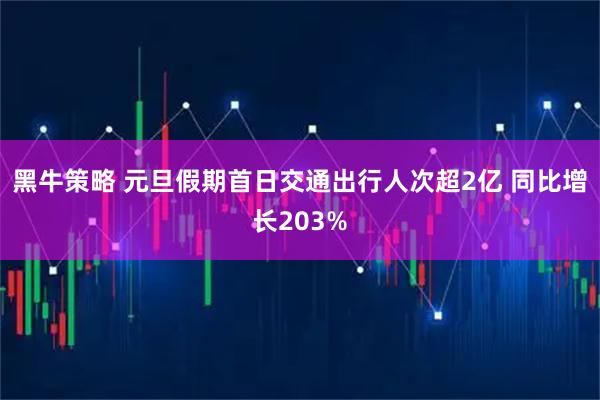 黑牛策略 元旦假期首日交通出行人次超2亿 同比增长203%